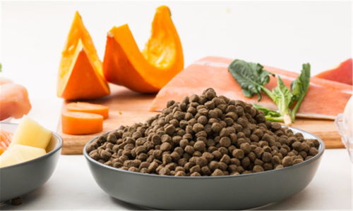 豆柴完成數千萬元A輪融資，金鼎資本領投，加速寵物食品市場布局